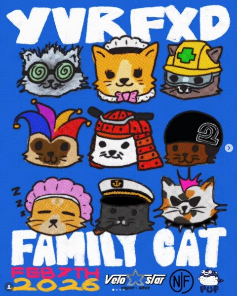 Family Cat