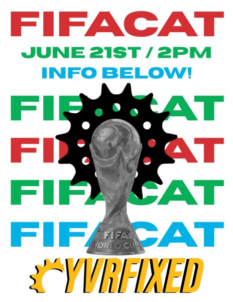 FIFAcat