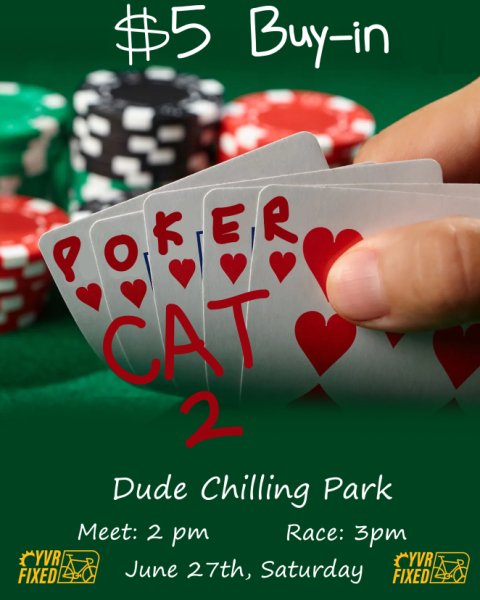 Poker Cat 2